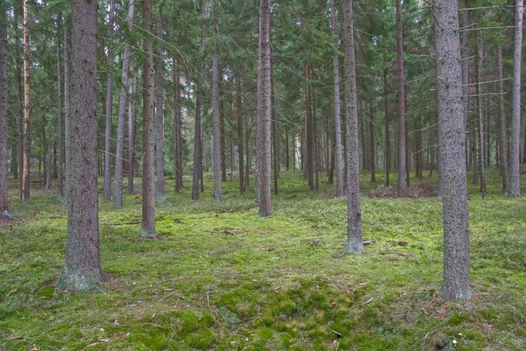 Agroturystyka Skoszewo Extérieur photo